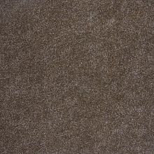 Ковровая дорожка Gent 0300 BRUIN V