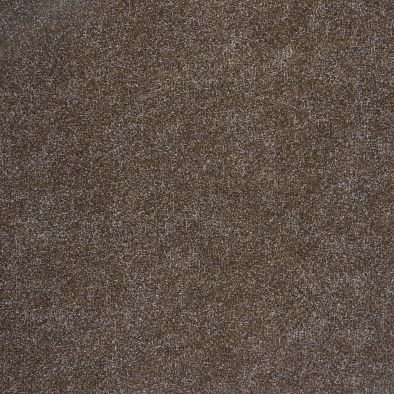 Ковровая дорожка Gent 0300 BRUIN V