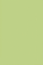 Ковер в виде травы шегги Rainbow Shaggy PC00 green