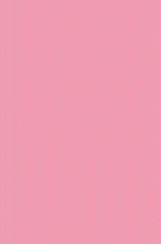 Ковер розовый шегги Rainbow Shaggy PC00 rose